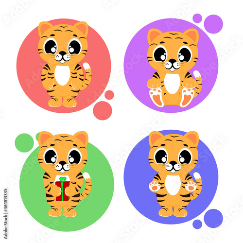 A set of cute tiger cubs