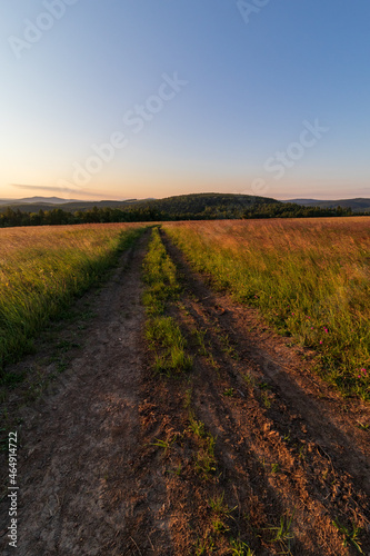 road in the field