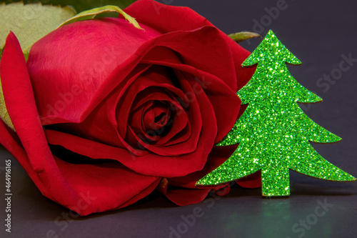 Red rose with wooden fir tree