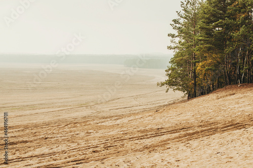 Bledow desert (pustynia bledowska) biggest sand desert in Poland