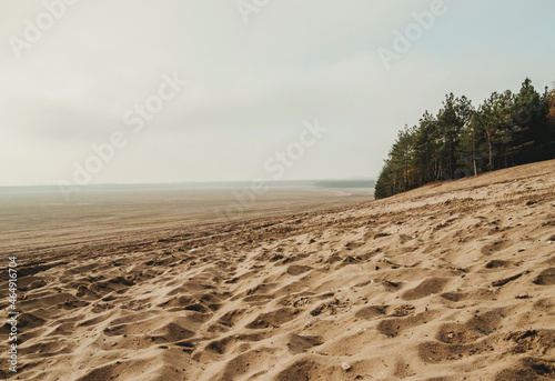 Bledow desert (pustynia bledowska) biggest sand desert in Poland photo