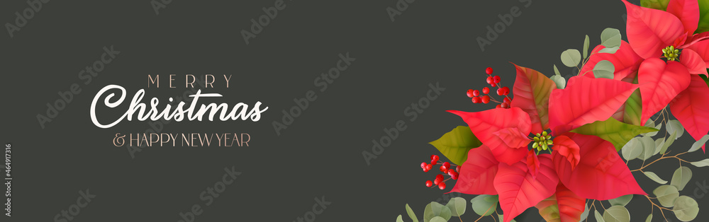 Realistic Merry Christmas Banner. Happy New Year vector flyer. Xmas realistic Poinsettia flower poster