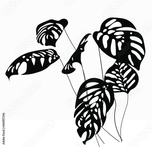 Vector stock illustration of tropical leave. Monstera leave. Watercolor greenery plant. Template for stickers, stencil. Close-up of tropical leaves isolated on a white background.  Flat style. 