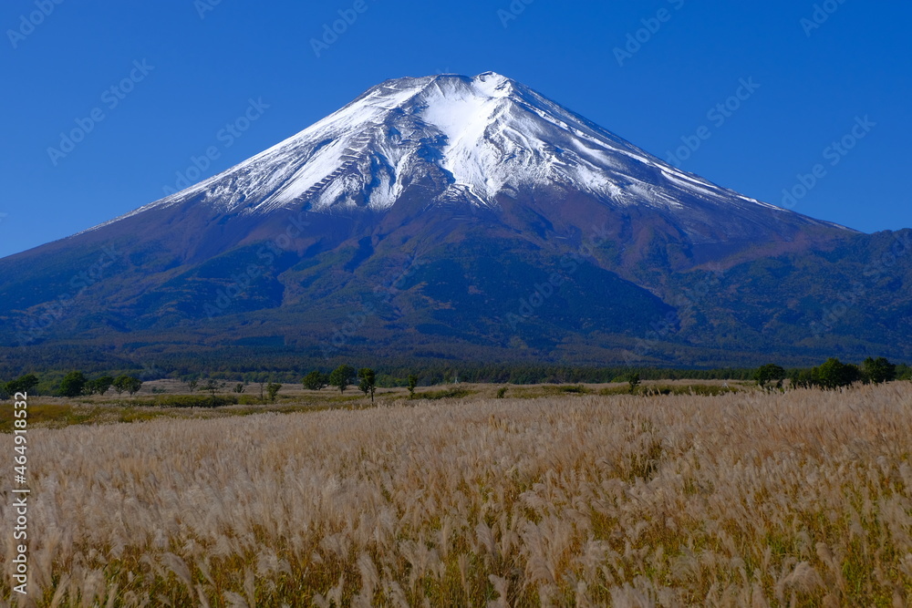 Fototapeta premium Mt.Fuji of blue sky from Nashigahara Yamanashi Japan