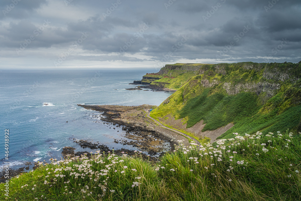 Amazing Giants Causeway coastline, seen from the top of the cliff, part of Wild Atlantic Way and UNESCO world heritage, located in Northern Ireland