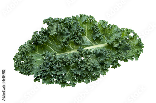 Kale cabbage leaf on white background