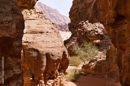 Narrow gorge in Wadi Rum desert, Jordan