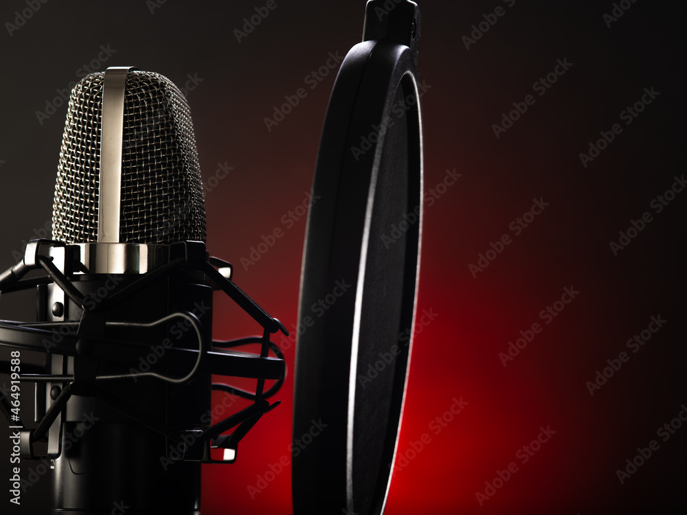 Professional studio microphone with pop filter on a dark red background.  Minimalism. Concert, night club, recording studio, singing, debate,  speaker, broadcasting, television. Stock Photo | Adobe Stock