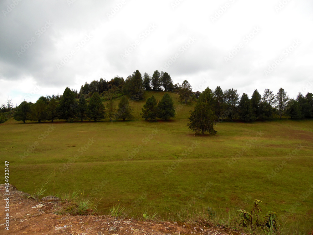 Selective focus of nature and landscape Selective focus of nature and landscape