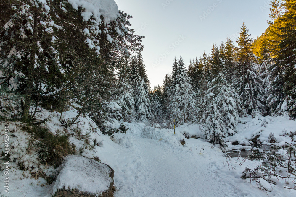 Winter landscape of Rila Mountain near Malyovitsa peak, Bulgaria