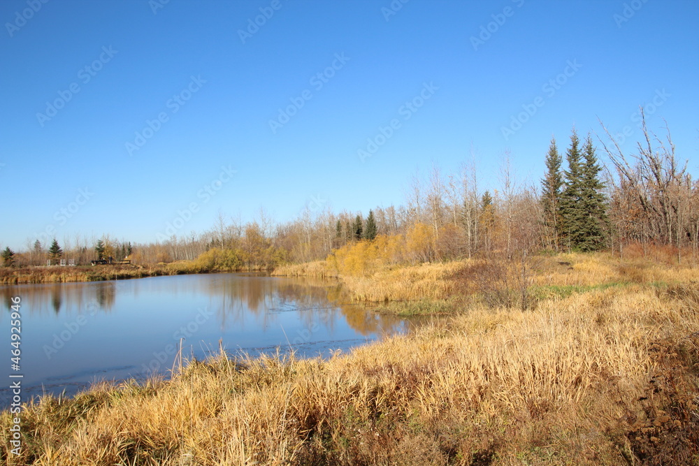 lake in autumn, Pylypow Wetlands, Edmonton, Alberta