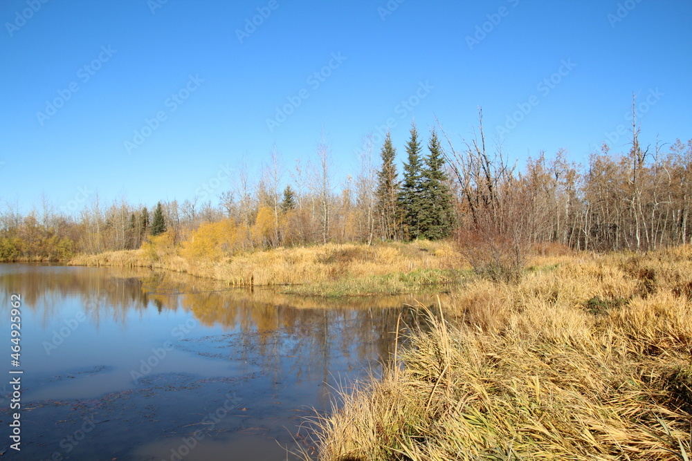Autumn On The Water, Pylypow Wetlands, Edmonton, Alberta