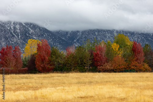Bright autumn colors in front of mountains partially covered in clouds