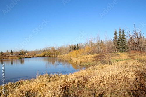 lake in autumn, Pylypow Wetlands, Edmonton, Alberta