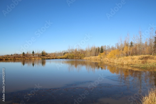 Calm Autumn Waters, Pylypow Wetlands, Edmonton, Alberta