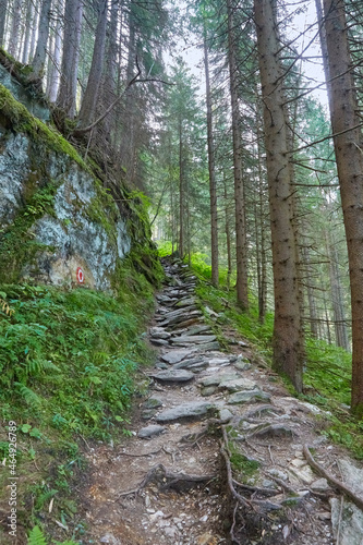 Hiking trail through the  Krimmler Achental  in Austria.