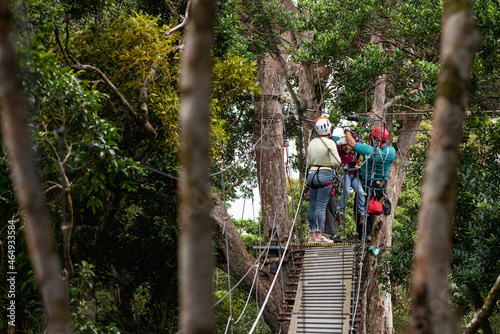Grupo de personas en la cima de un árbol colgando de un cable para canopy