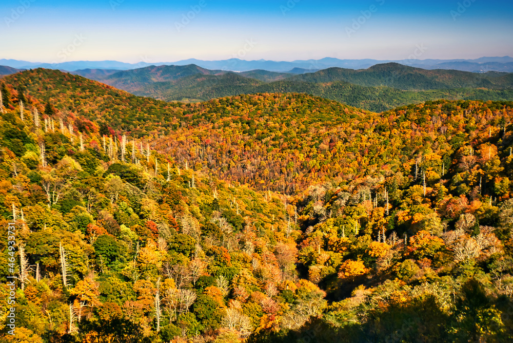 View from an overlook on the Blue Ridge Parkway in the mountains of North Carolina, USA, in the fall.