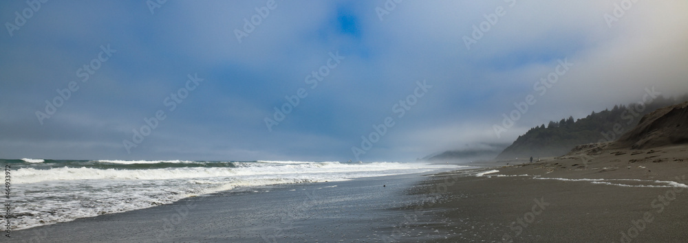 beach with fog