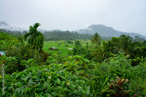 Ubud village in Bali island.beautiful sky  foggy sunset  landscapes.