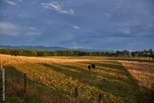 Virginia Countryside