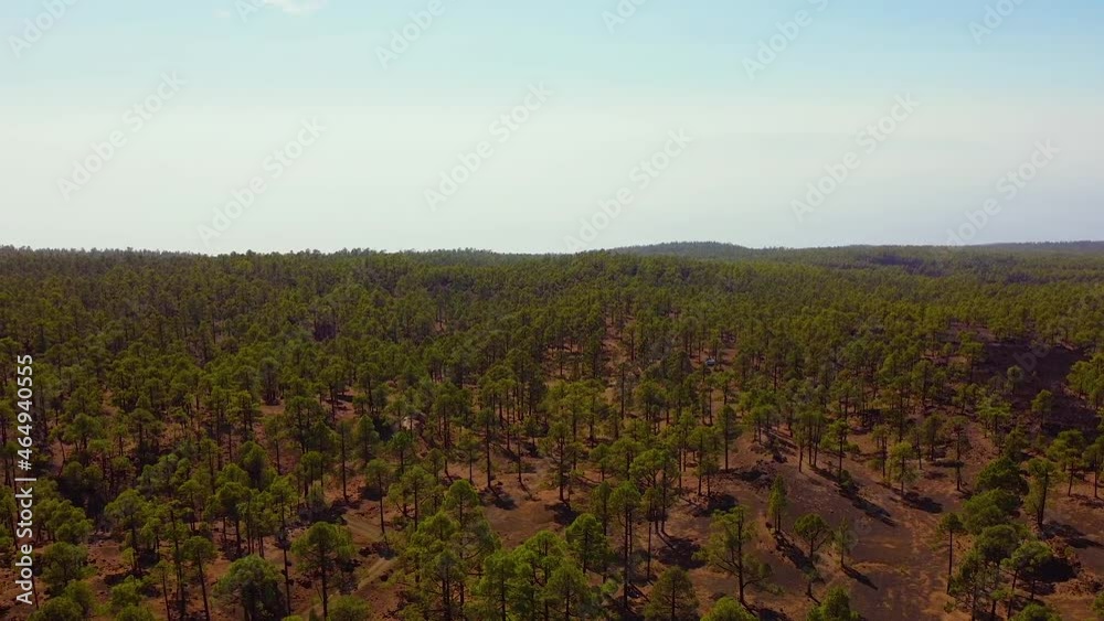 Forestry landscape of Tenerife island, aerial pan left view