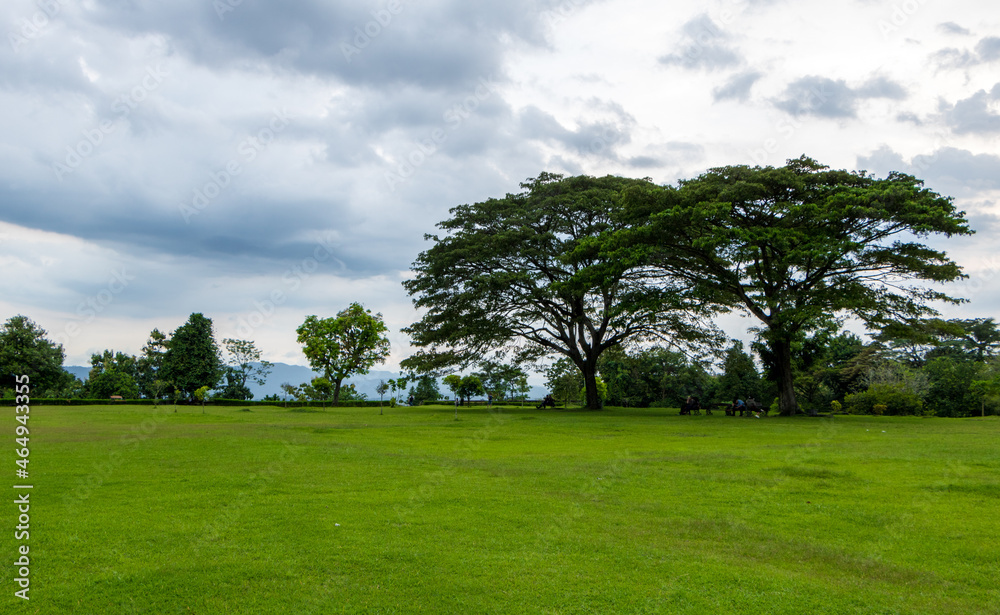 Evening atmosphere in a green and calm garden.
Evening atmosphere in a green and calm garden.
