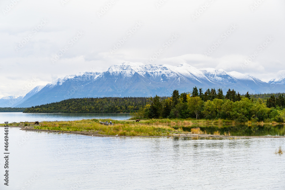 Cold, overcast landscape with brown bears and mountain range with snowcapped peaks, Katmai National Park, Alaska
