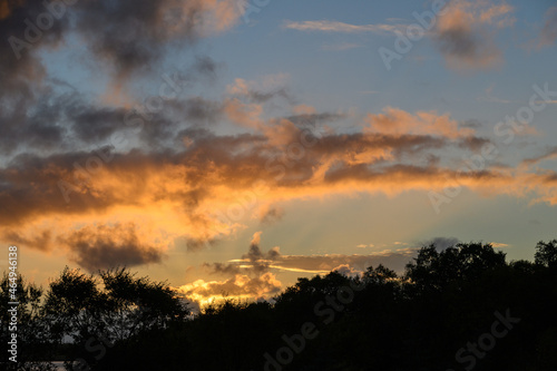 Dramatic sunset with light blue sky and bright clouds, and silhouetted tree line 