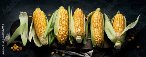 Raw corn or maize on dark background.