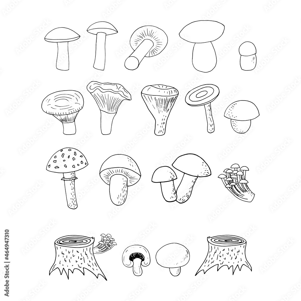 forest mushrooms set sketch hand drawn doodle. icon, card, poster, vector, monochrome. boletus, fly agaric, chanterelles, russula, champignon, honey agarics, stump. nature, food, ingredient. forest mushrooms set sketch hand drawn doodle. icon, card, poster, vector, monochrome. boletus, fly agaric, chanterelles, russula, champignon, honey agarics, stump. nature, food, ingredient.
