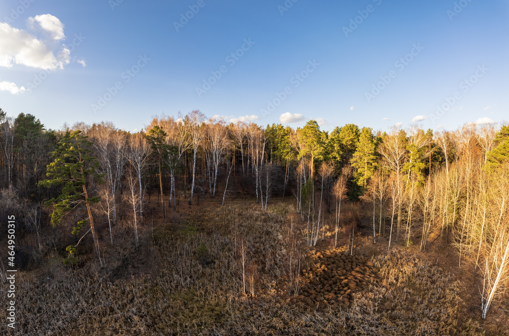 Fototapeta premium Aerial drone view of stunning colorful autumn fall forest.
