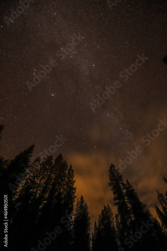 A Star Filled Night at Mt. Shasta! 