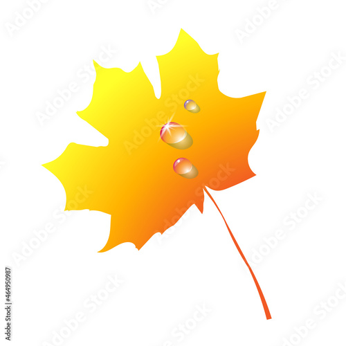 Gradient silhouette maple autumn leaf isolated. Vector.