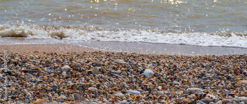 Sea shells on the seashore. Seashell on the beach with waves. A beautiful beach with lots of shells, a banner for design or background wallpaper.  Summer landscape background