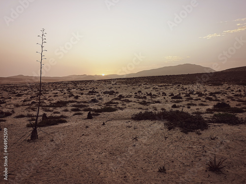 Early morning in Cape Verde resort. Romantic sunrise behind majestic volcanic hills, clear sky and desert view. Selective focus on the horizon, blurred background.