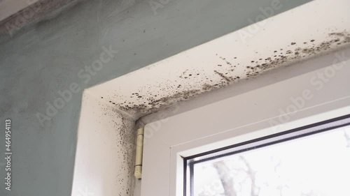 Growth of toxic black mold around glass window plastic frames. Dampness and Condensation on Windows