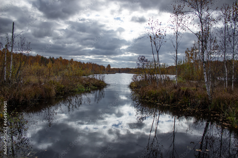 Fototapeta premium Evening forest lake in late golden autumn