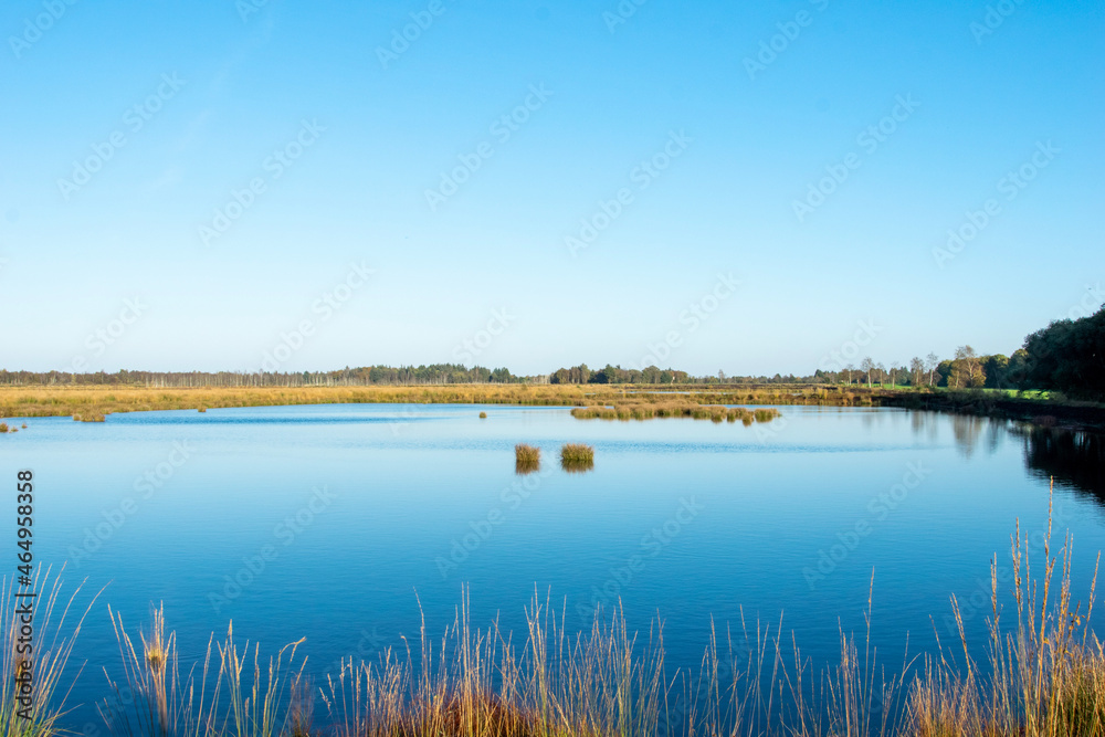 lake in the summer