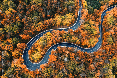Strasse mit Kurven im Herbst © Jenny Sturm