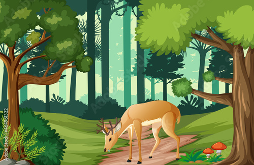 Wild animals in forest landscape background