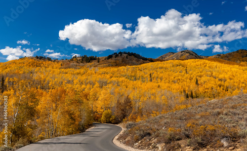 Colorful fall foliage at Wasatch mountain state park in Utah photo
