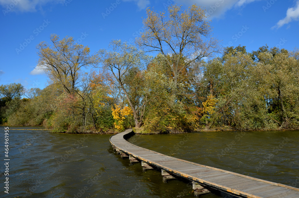 floating walkway made of wooden planks. narrow curved paths on stilts driven into the bottom, above the lake water. has no railings. more design walkway made of individual circular boards. autumn