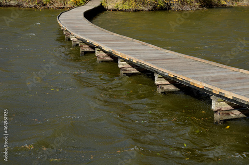 Wallpaper Mural floating walkway made of wooden planks. narrow curved paths on stilts driven into the bottom, above the lake water. has no railings. more design walkway made of individual circular boards. autumn Torontodigital.ca
