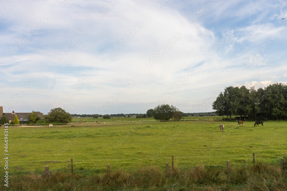 Antwerp, Belgium, a large green field with trees in the background