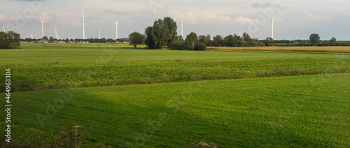 Antwerp, Belgium, a close up of a lush green field windmills