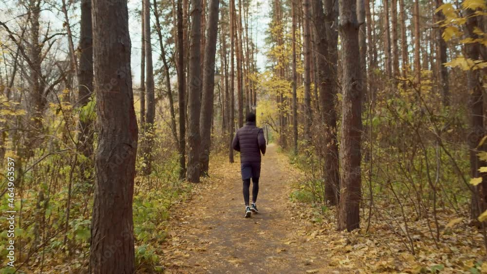 Runner on the forest trail on a warm autumn day, rear view. A man regularly runs to increase the endurance of the body. A surge of energy. High quality. 4k footage. Runner on the forest trail on a warm autumn day, rear view. A man regularly runs to increase the endurance of the body. A surge of energy. High quality. 4k footage.
