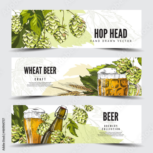 Beer brewery banners with color images of hop and wheat, vector illustration.