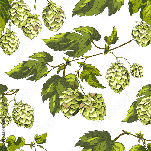 Pattern of engraved hop, seamless vector illustration.