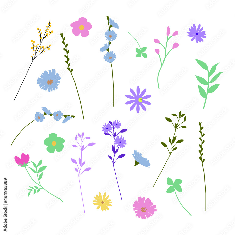 Botanical set of abstract flowers and herbs